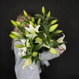 ROZALI FLOWERS MURMANSK