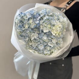 Helly Flowers