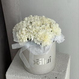 Balui