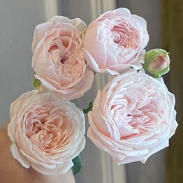 BOUQUET
