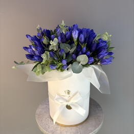 Glamely flowers
