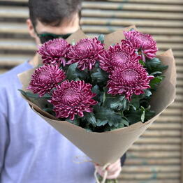 ФЛОВАНС