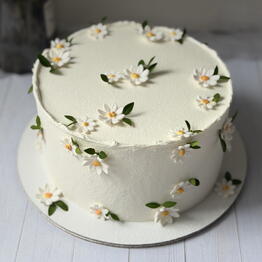 Abicake_studio  