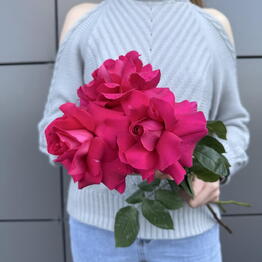 Flower Boutique