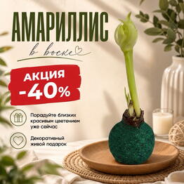 AmaryLove