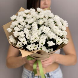 BFLOR