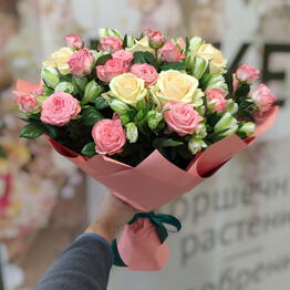 Ботаника