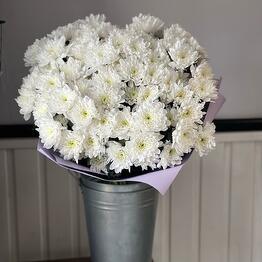 Flowers113