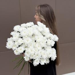 FLOWER ROOM
