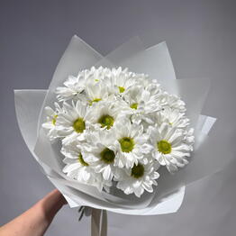 Lovely Flowers