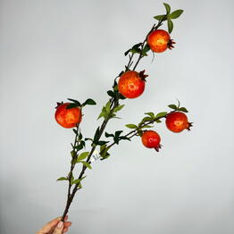 Flowers in Shushary