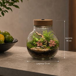 Florariumy Neopure