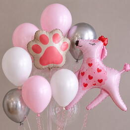 BALLOON STORY