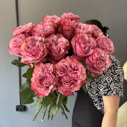 Sofia Flowers