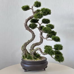 Nature Moss