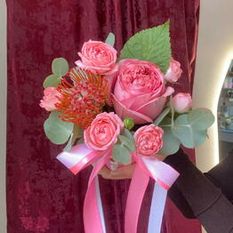 Красота 