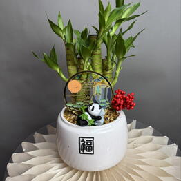 MisunFlora