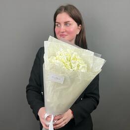 IFLORA x Flowers