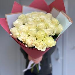 Rose lux