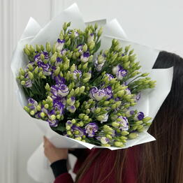 Гламелия