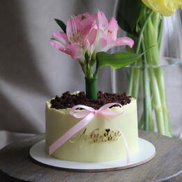 Ivanetti cakes