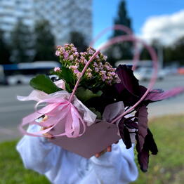 ФлораКаприз
