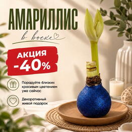 AmaryLove