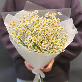 ML_flowers