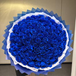 Raz Flover
