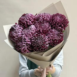 Флокит