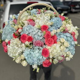 Amazing Flowers