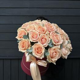 Rose Love ❤️