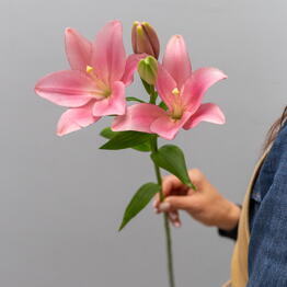 Florever