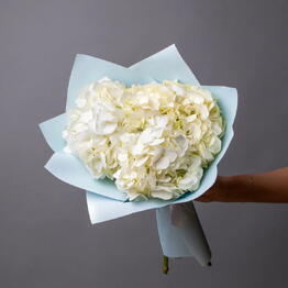Didi Flowers