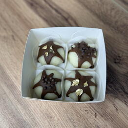 mochi lab by