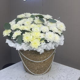 Siyay Flower