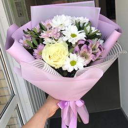 ПолеСад