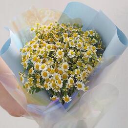 Premium Flowers