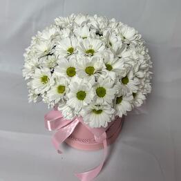 Floroom