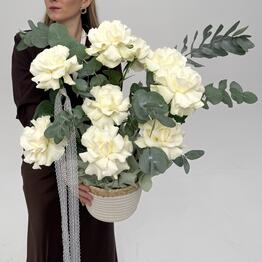 Friendly flowers 