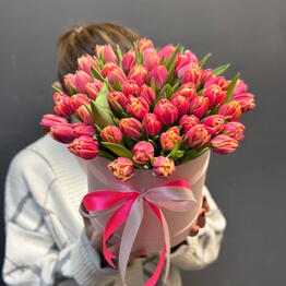 Pioni_Rose