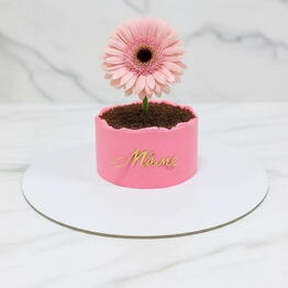 Cupcake_butovo