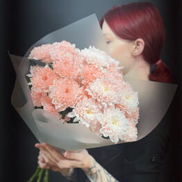 Gerbera
