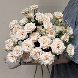 La Rose Flowers