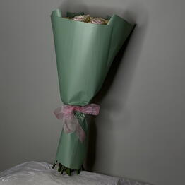 Vanilla Orchid