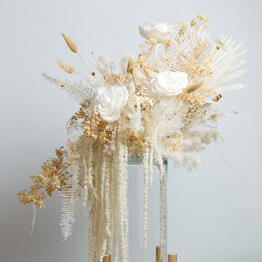 Herbarium/Studio