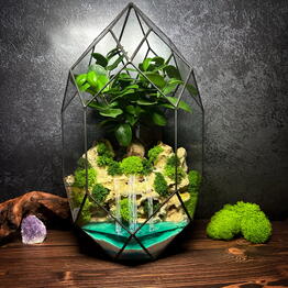 Amazing Florarium Gifts
