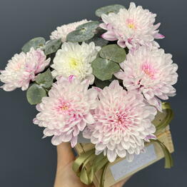 FlowaLova