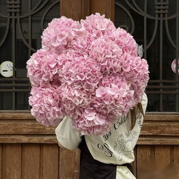 Rose & Co