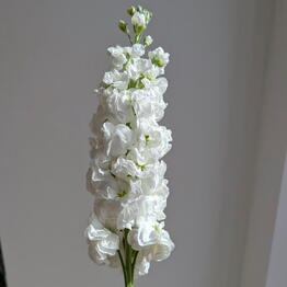 Happy Flower